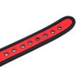 Neoprene Puppy Collar Adjustable Red